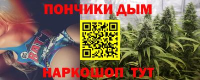 меф Гатчина