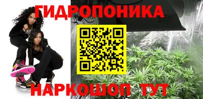 меф Гатчина