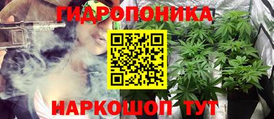 меф Гатчина