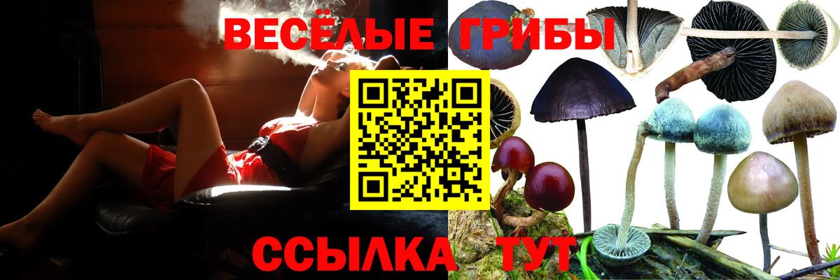 Галлюциногенные грибы GOLDEN TEACHER  Вход с VPN  Псилоцибиновые грибы GOLDEN TEACHER  Пугачёв 