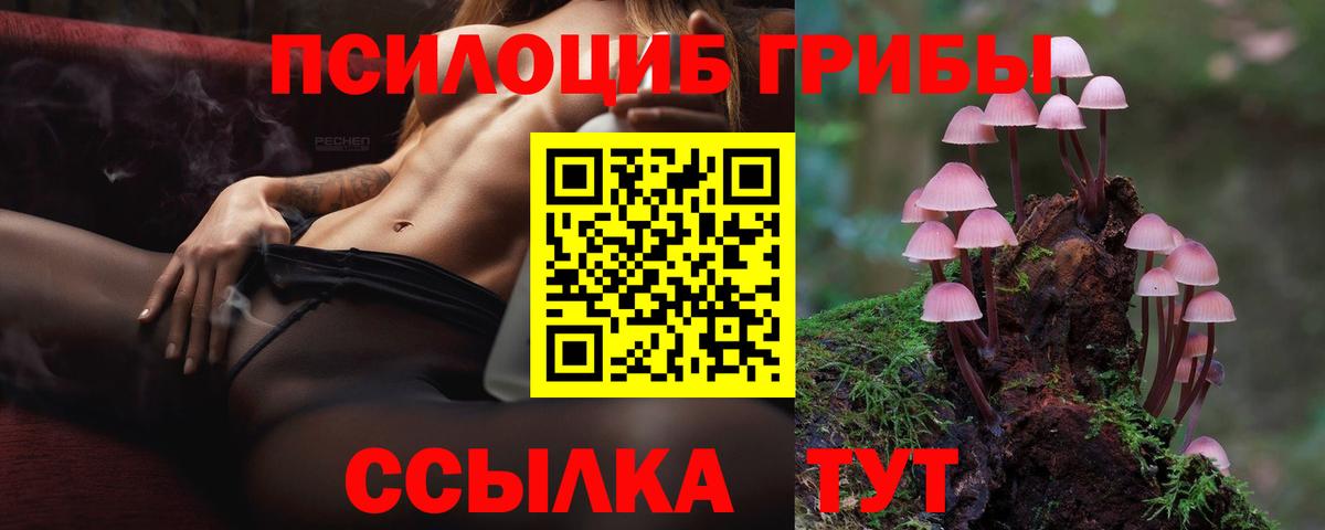 Галлюциногенные грибы MAGIC MUSHROOMS Пугачёв